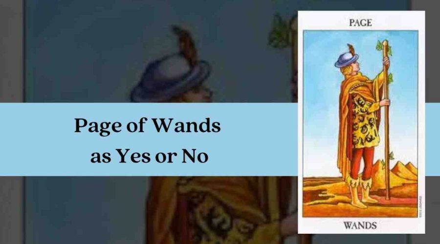 Page of Wands as Yes or No – A Complete Guide