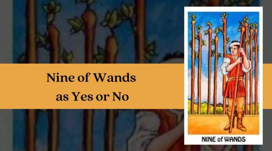 Nine of Wands as Yes or No – A Complete Guide