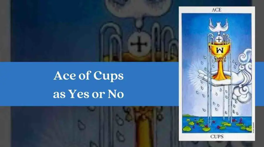 Ace of Cups as Yes or No – A Complete Guide