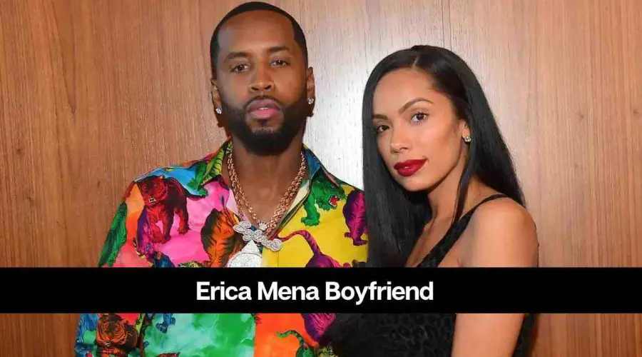 Who is Erica Mena’s Boyfriend: What Happened With Him?