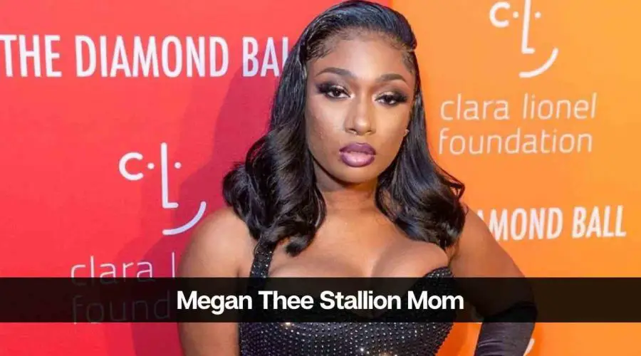 Megan Thee Stallion Mom: What Happened Between Megan and Nicki Minaj?