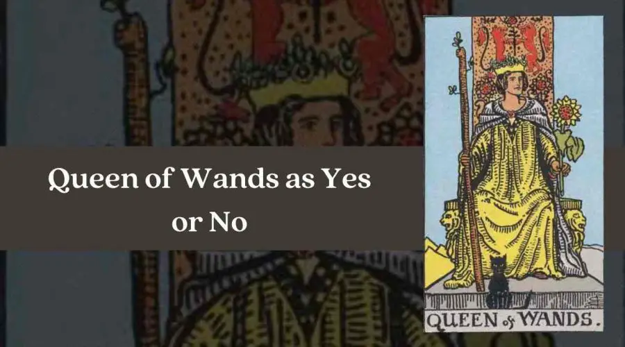 Queen of Wands as Yes or No – A Complete Guide