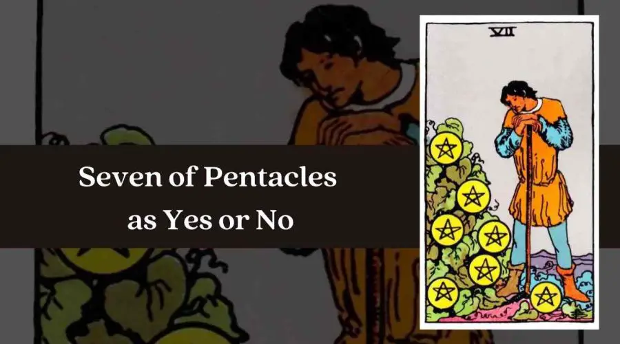 Seven of Pentacles as Yes or No – A Complete Guide