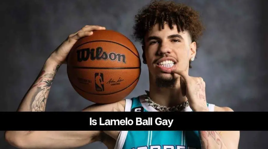 Is Lamelo Ball Gay: Know His Sexuality and Partner