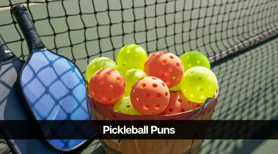 80 Funny Pickleball Puns 2024 You Should Not Miss