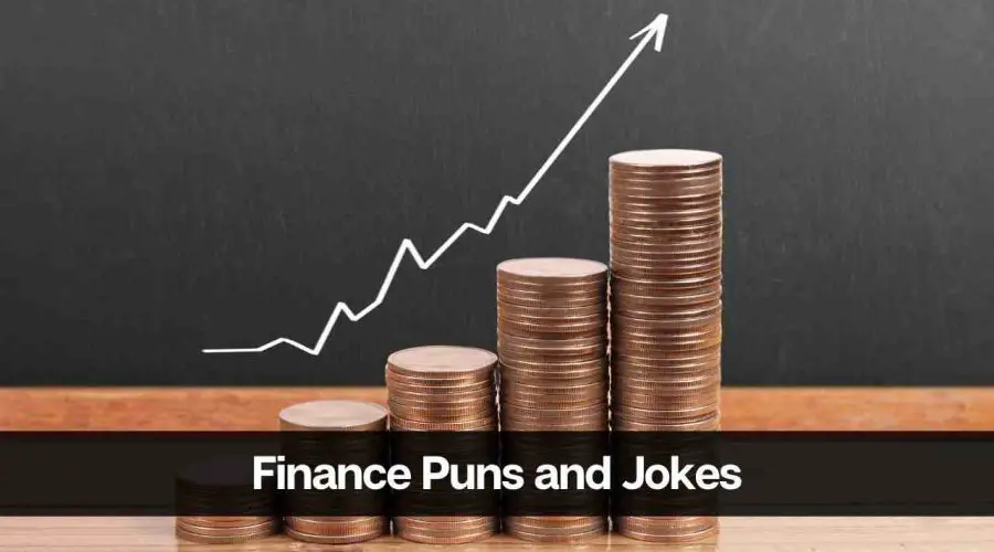 75 Hilariously Finance Puns and Jokes For Money Lovers