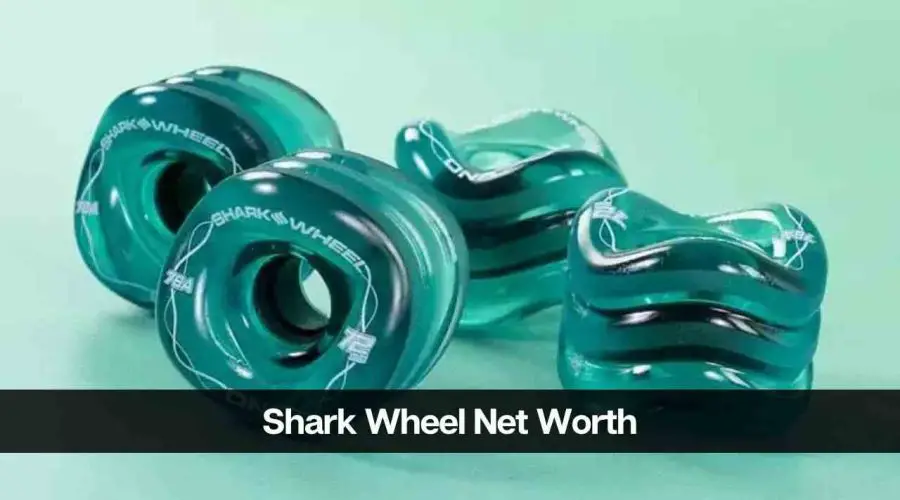Shark Wheel Net Worth 2024: Shark Tank, Income, and Success