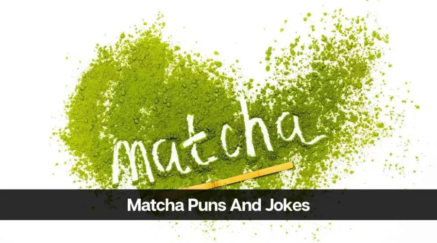 90 Hilarious Matcha Puns And Jokes That Are Very Funny
