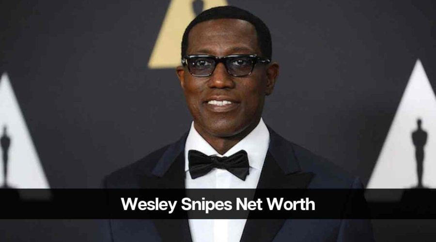 Wesley Snipes Net Worth: Know All About His Income Resources