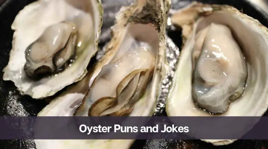 50 Hilarious Oyster Puns and Jokes For Seafood Lovers