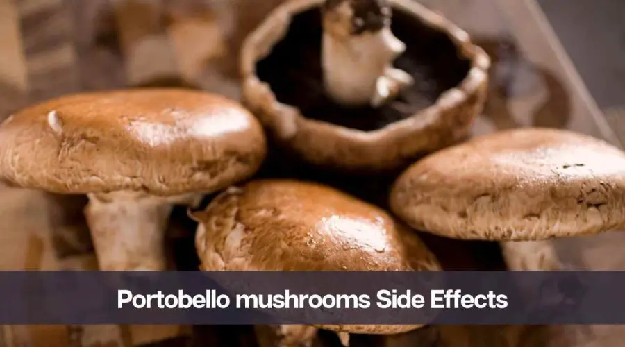 What Are The Negative Effects of Portobello Mushrooms? In Detail