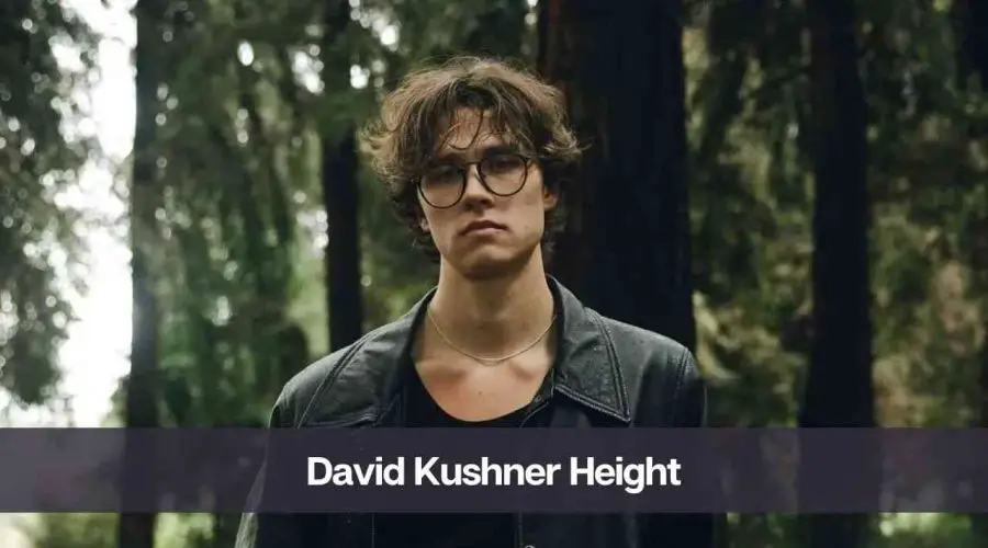David Kushner Height: Know His Age, Girlfriend, and Net Worth